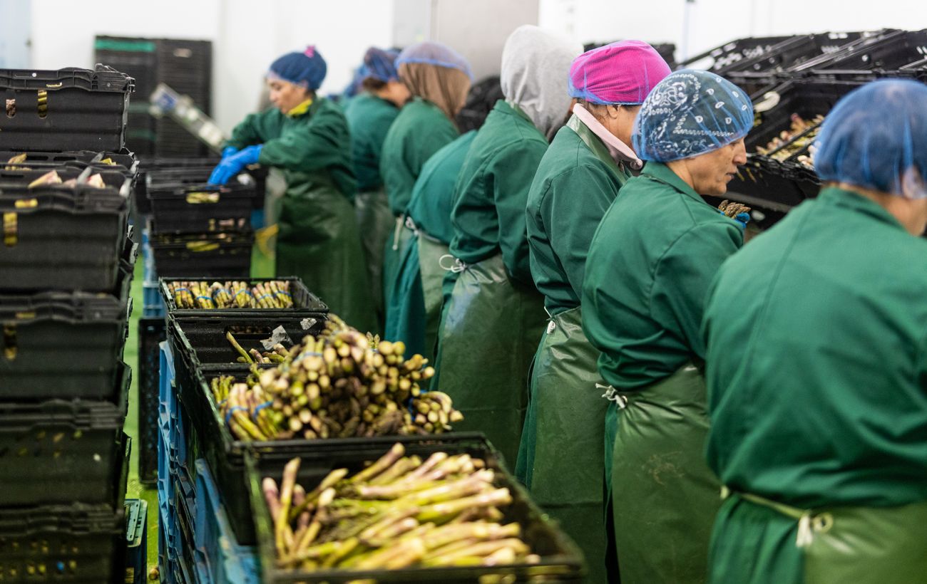 У Польщі компанії скорочують штат, безробіття зростає: що буде з роботою українців у 2026-му